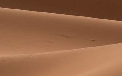 BIENVENIDOS A MINAWA